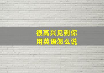 很高兴见到你 用英语怎么说